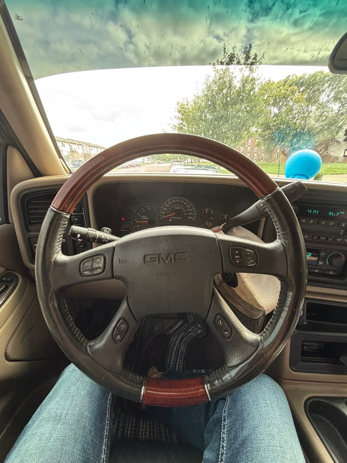 Woodgrain Steering Wheel
